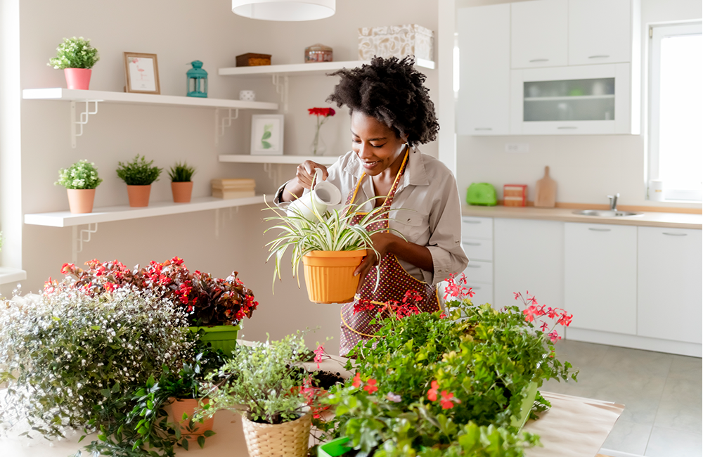 Nurture, Support, and Grow Your Indoor Plants with LED Grow Lights